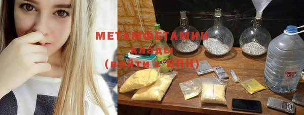 индика Арсеньев