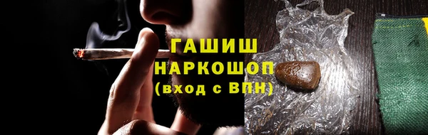 индика Арсеньев
