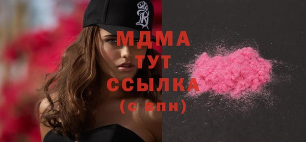 индика Арсеньев