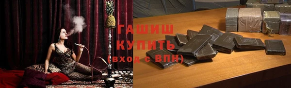 индика Арсеньев