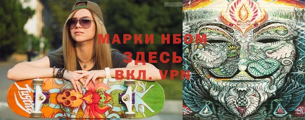 прущие грибы Армянск