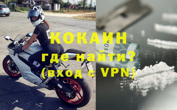 индика Арсеньев