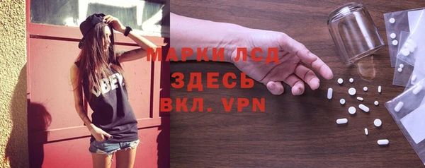 индика Арсеньев